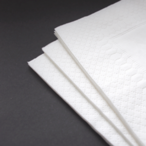 Serwetki gastronomiczne 24x24 cm 2W BIAŁE