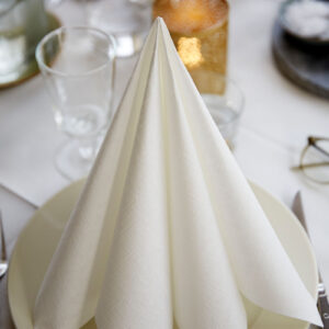 SERWETKI DUNILIN 40 x 40 cm BIAŁE 45 szt.