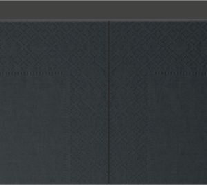 Serwetki gastronomiczne 24x24 cm 2W CZARNE 200szt.